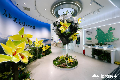 医生新品眼霜携手景甜诠释眼周护理逻辑AG旗舰厅网站首页熬夜党速进！植物(图2)